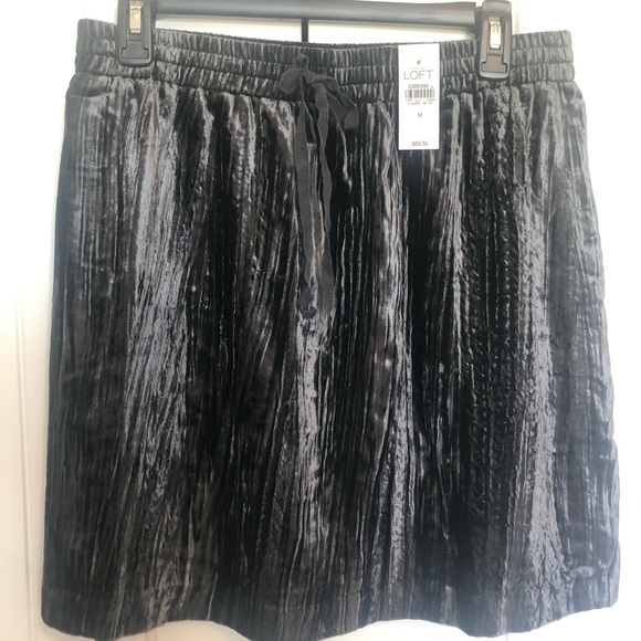 Loft size M skirt velvet with underneath lining. New with tag. - Picture 1 of 3